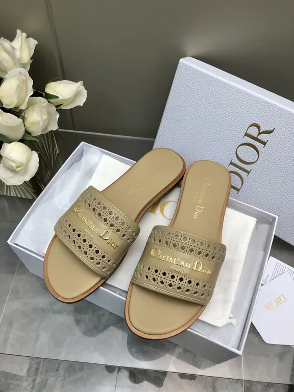 Dior Shoe 